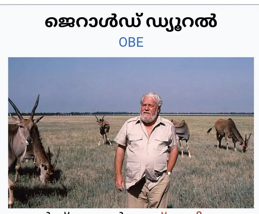 0faae625-14b1-4485-8c98-006ed9eeba84