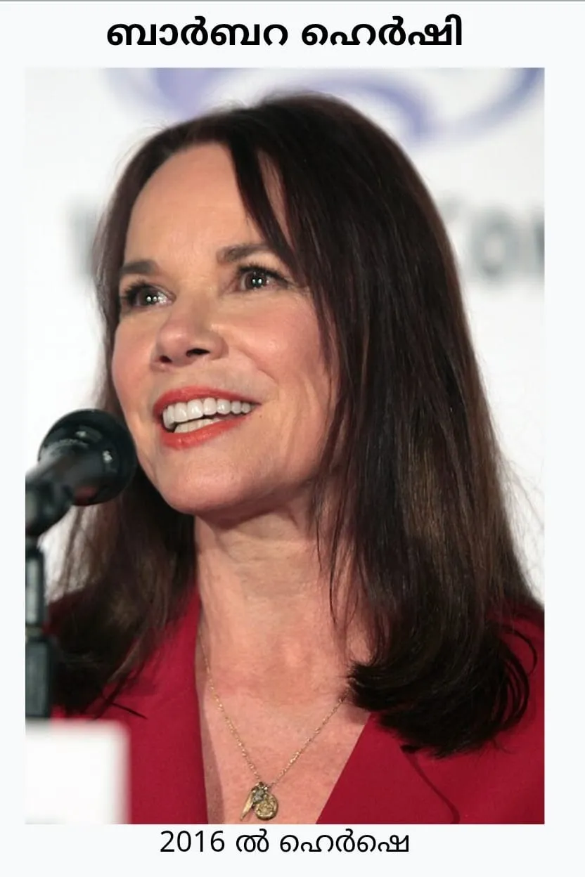 WhatsApp Image 2026-02-04 at 10.35.18 PM (1)