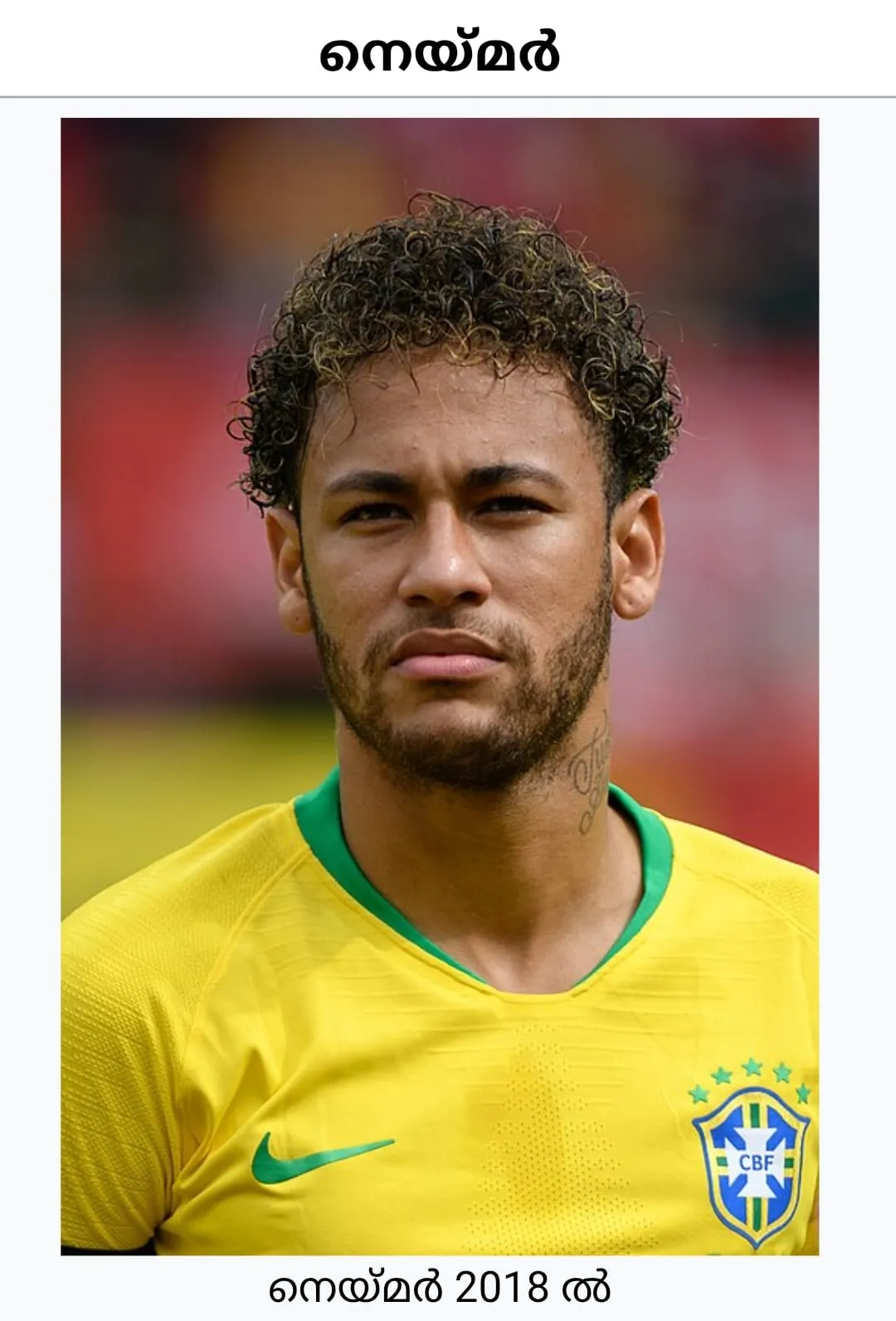 WhatsApp Image 2026-02-04 at 10.35.14 PM (3)