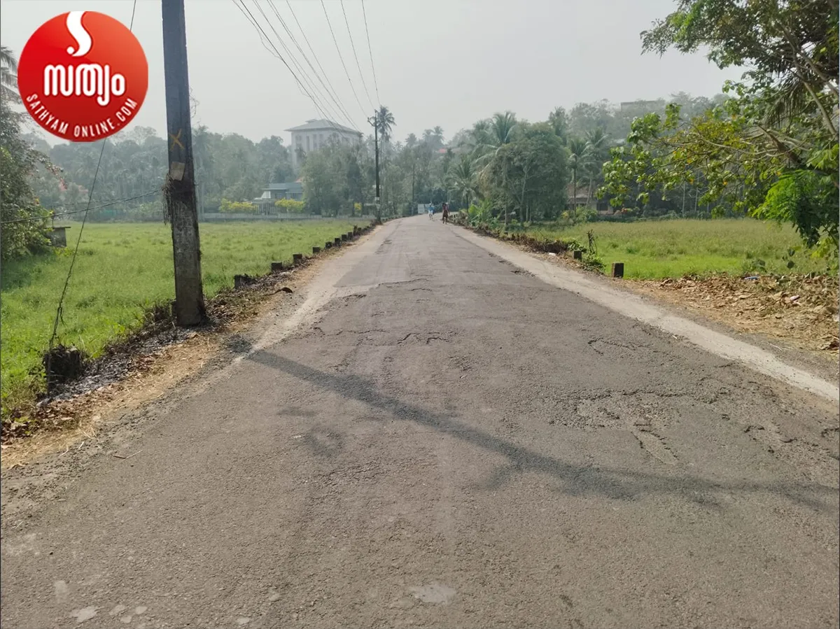 chottanikkara muriyamangalam road-10