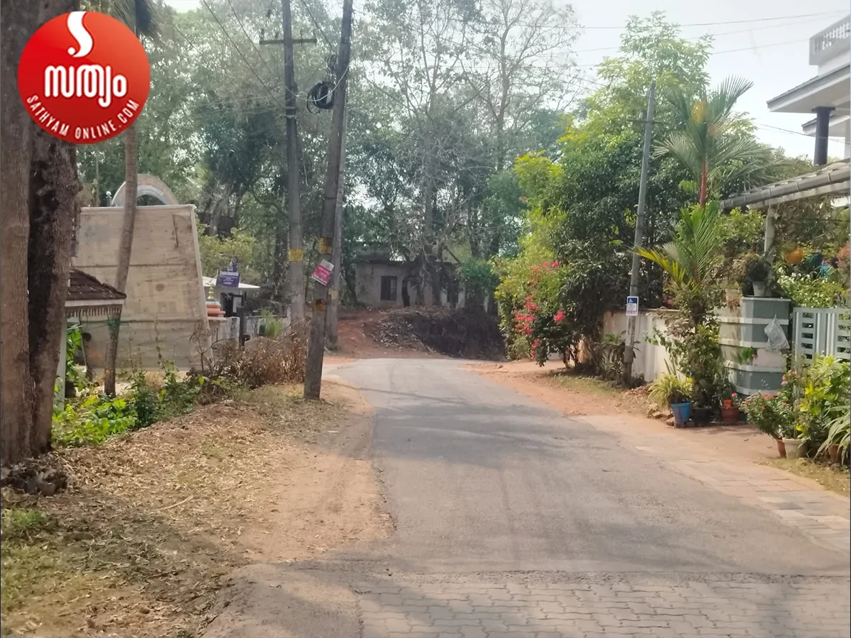 chottanikkara muriyamangalam road-15