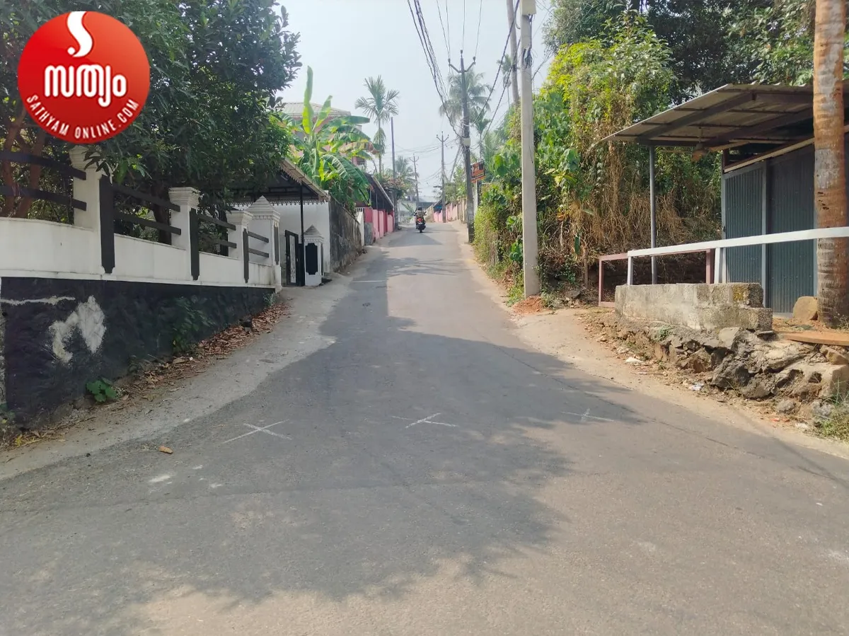 chottanikkara muriyamangalam road-2