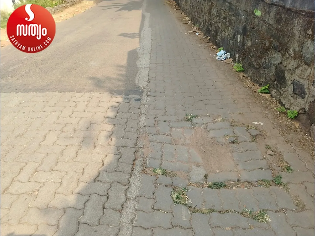 chottanikkara muriyamangalam road-21