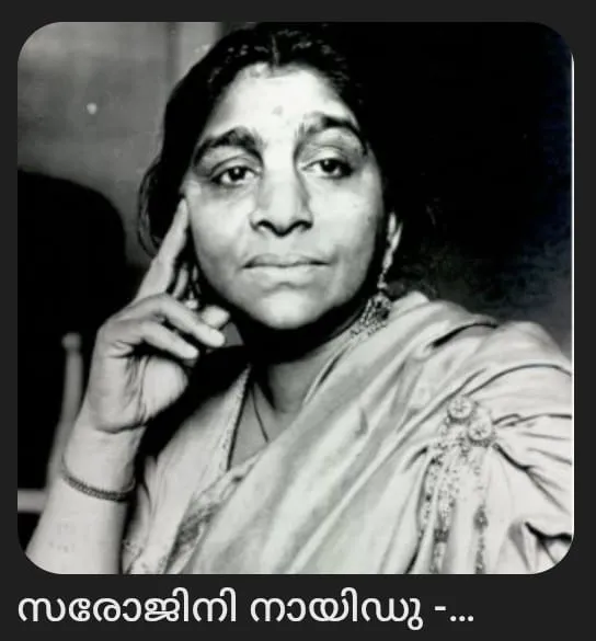 26d73446-0612-46d2-b9ef-531d7a5b190d