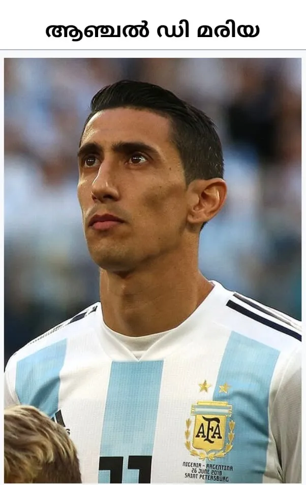 72e6e563-acd5-431b-a0bb-31141fd5d46a