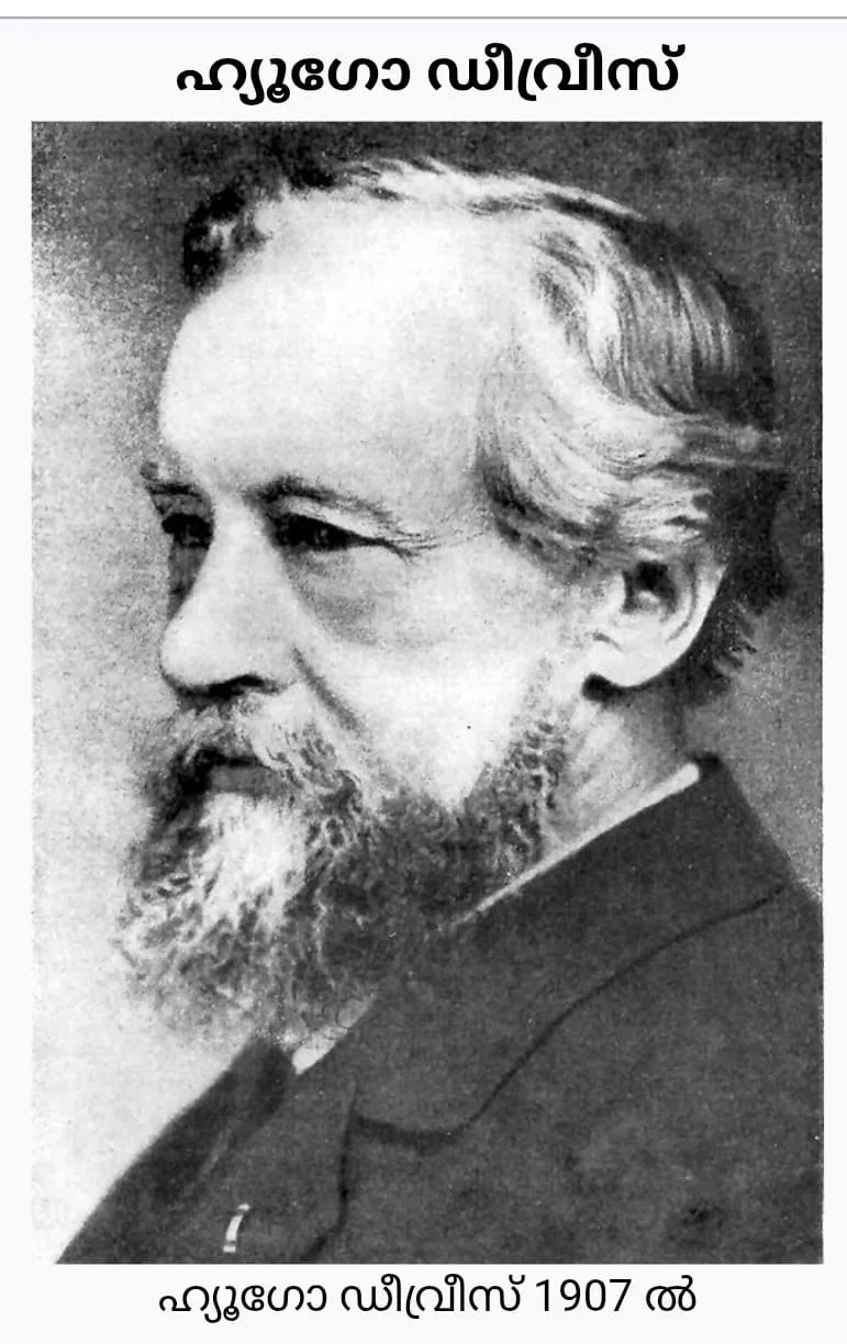 59ba0caa-5c6e-42cf-8c94-919761c779fa