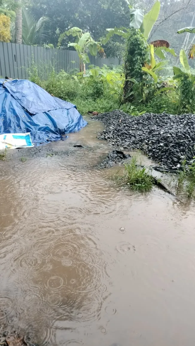 60b62594-d236-46a0-8955-a6dbc72aa1c7