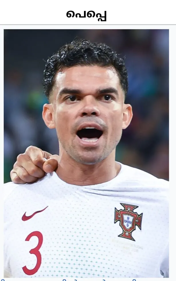 226b55d7-2b55-486e-91f6-0a98fe15ae66