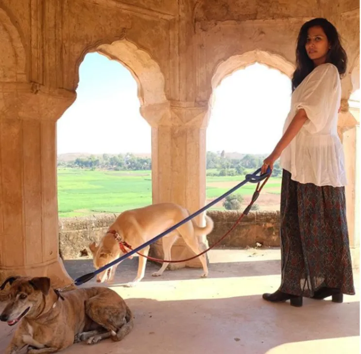 Screenshot 2025-11-07 215631