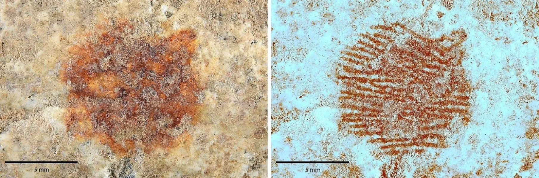 A Neanderthal Fingerprint Redefined Prehistoric Art