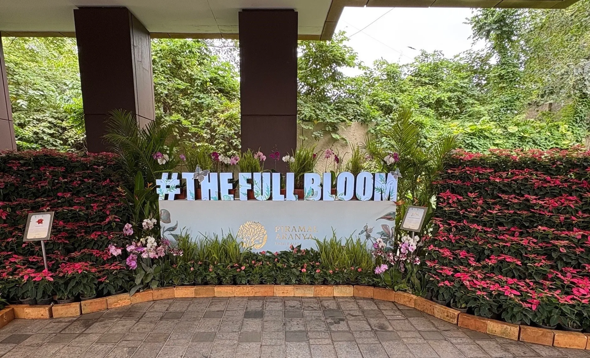 Full bloom image