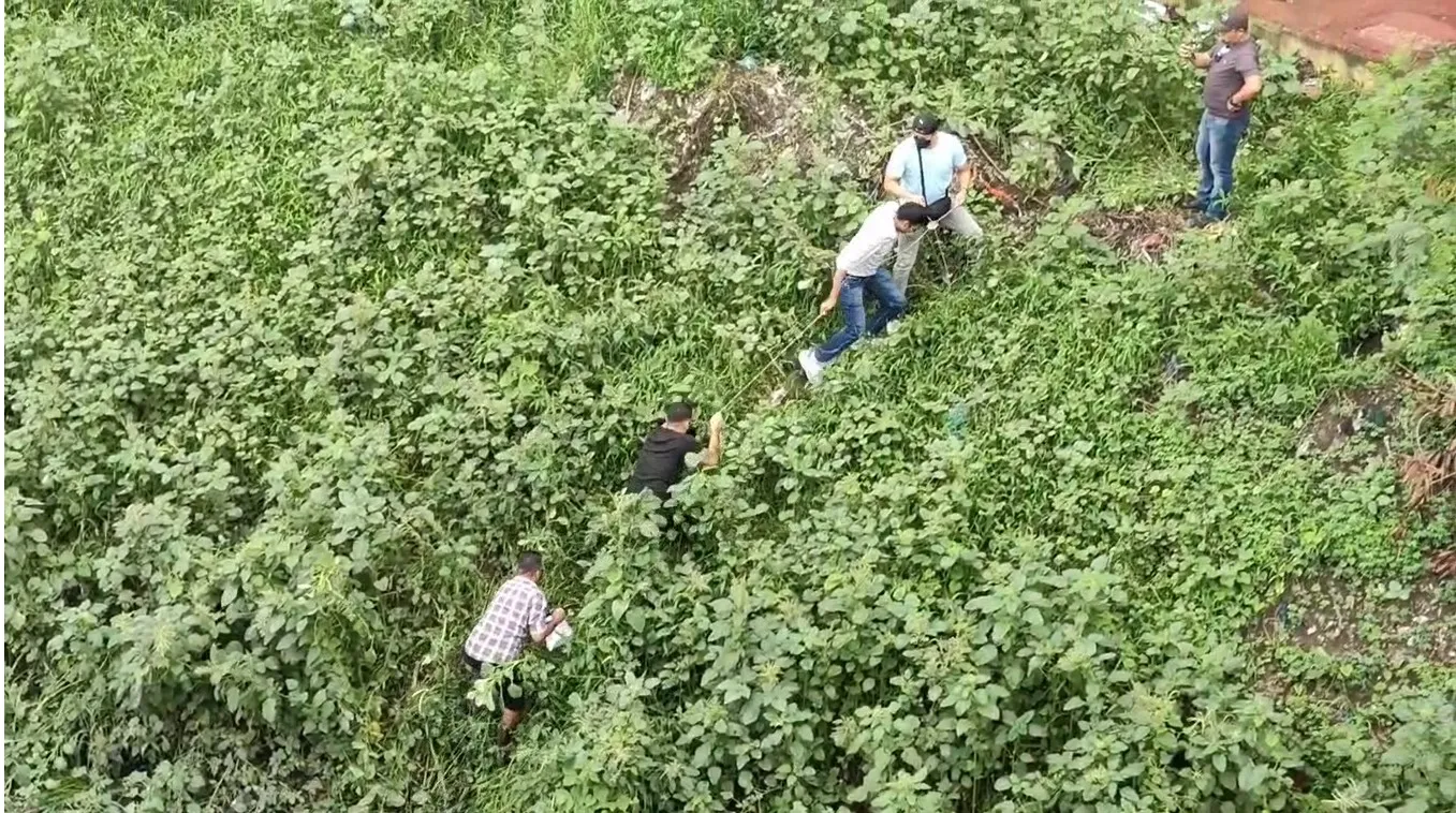 shilong 4