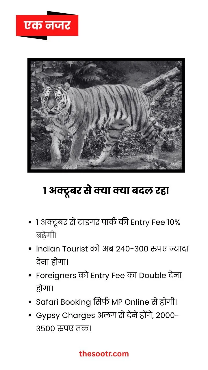 tiger safari