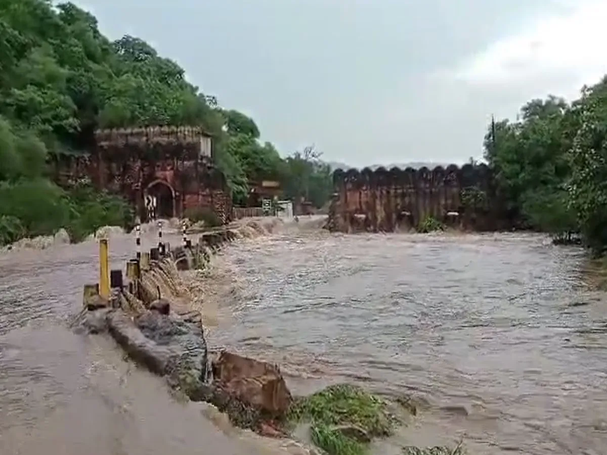 rajasthan rain 03