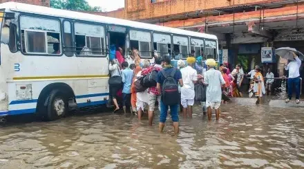 rajasthan rain 002
