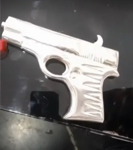 Silver Gun Offered at Sanwaliya Seth Temple