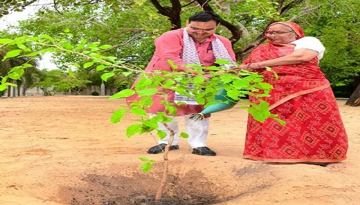 haryalo-rajasthan-tree-plantation-claims-and-geo-tagging-issues