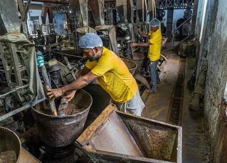 mustard-production-and-processing-in-rajasthan-2025