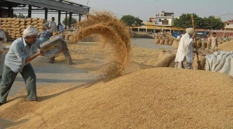 rajasthan-mandi-user-charges-traders-farmers