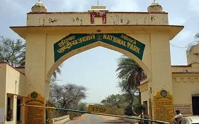 sariska-tiger-project-hotels-restaurants-action