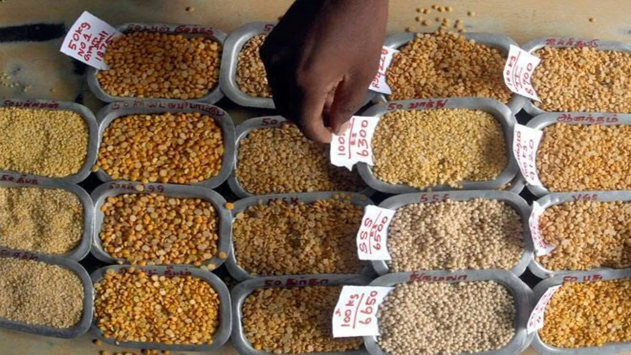 rajasthan-dalhan-udan-market