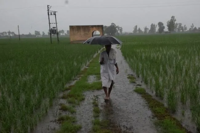 Rajasthan-Ativrishti-Kisan-Fasal-Kharab