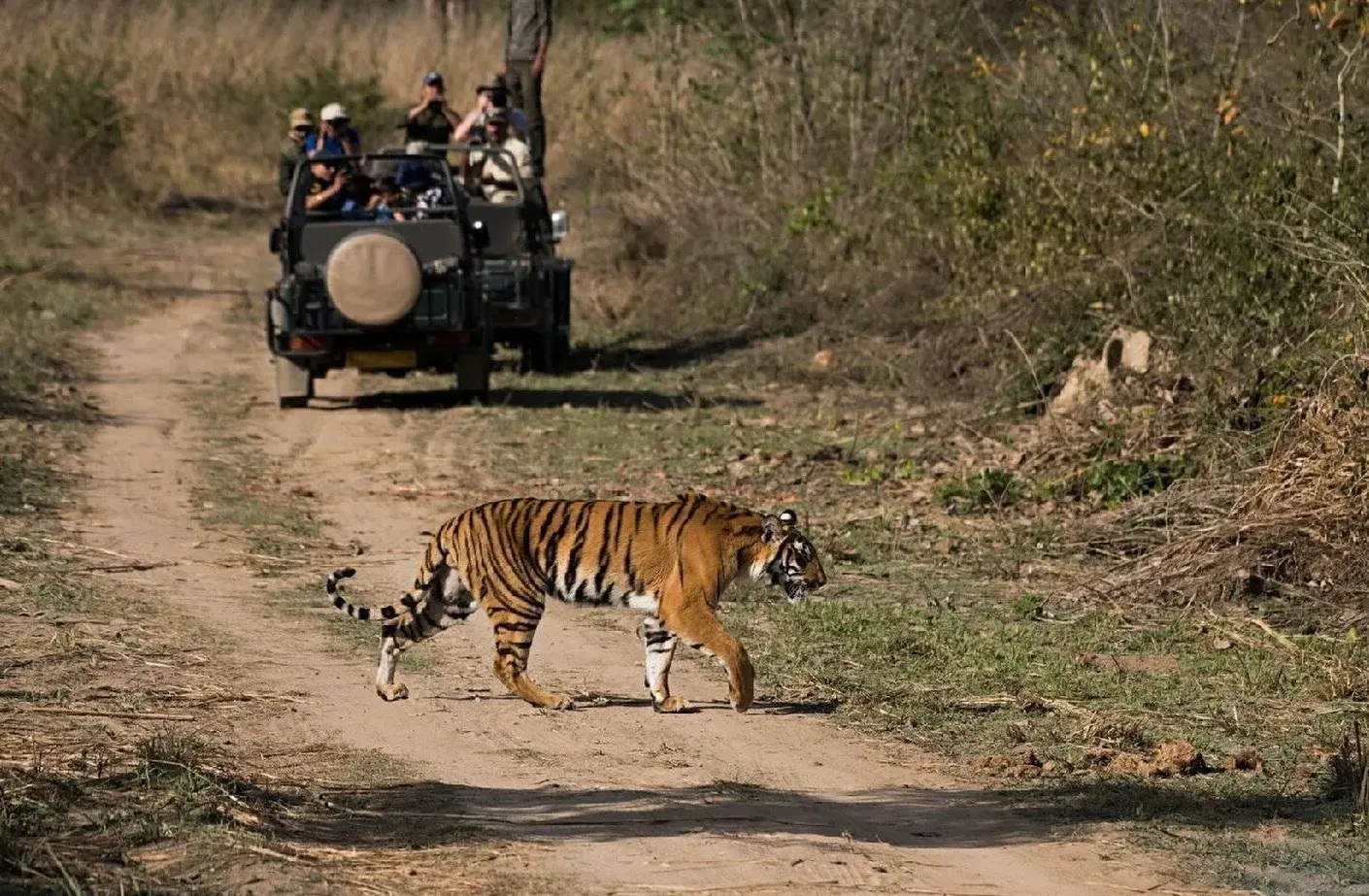 supreme-court-judges-trip-ranthambore-visit