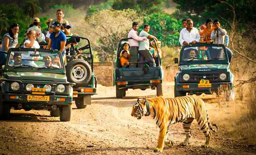 supreme-court-judges-trip-ranthambore-visit