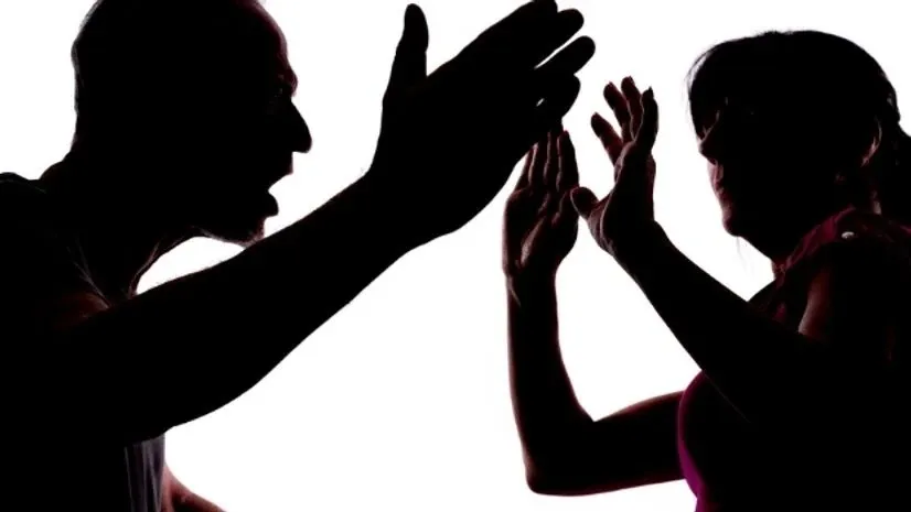 rajasthan-domestic-violence-women-safety