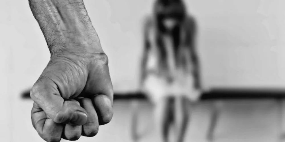 rajasthan-domestic-violence-women-safety