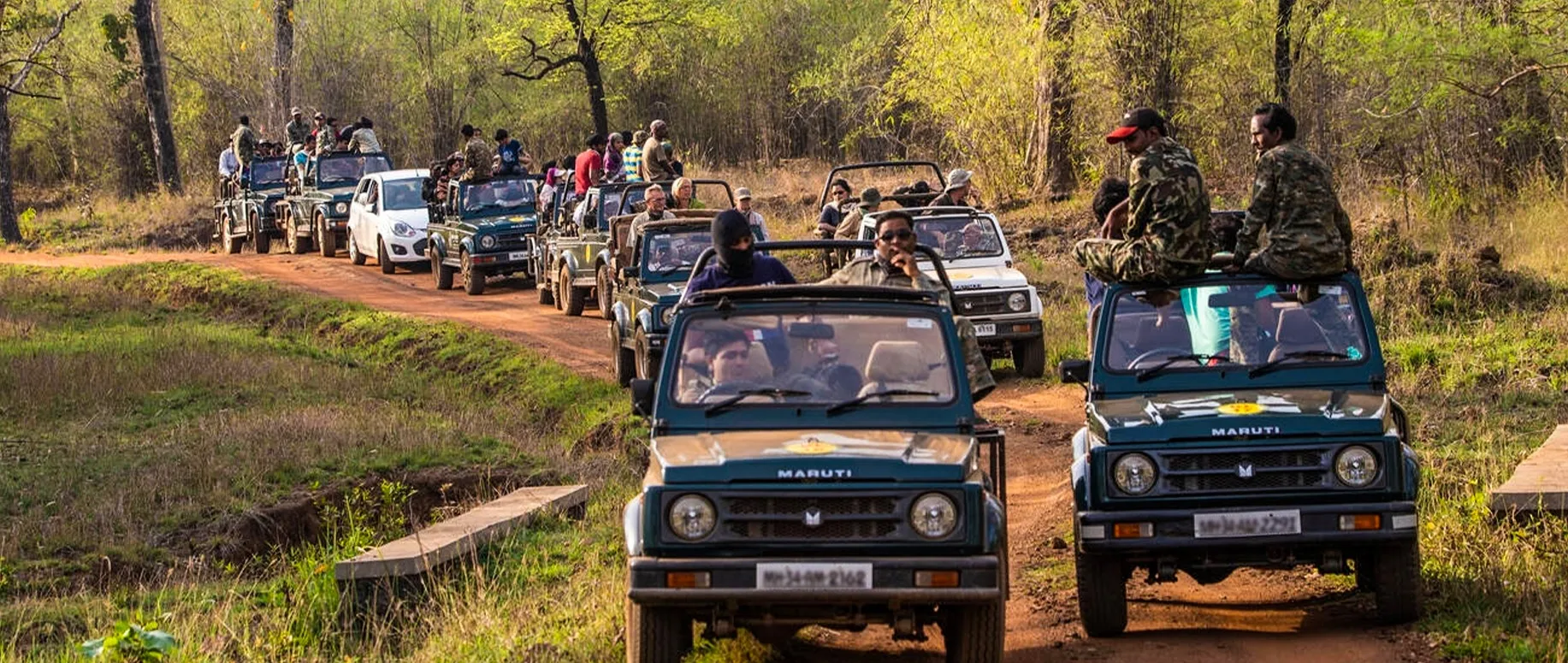 sariska-ranthambore-safari-season-2025-begins