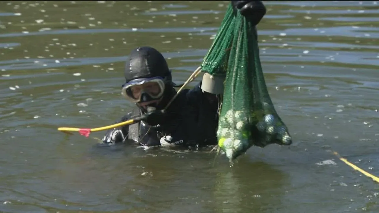 Golf Ball Diver
