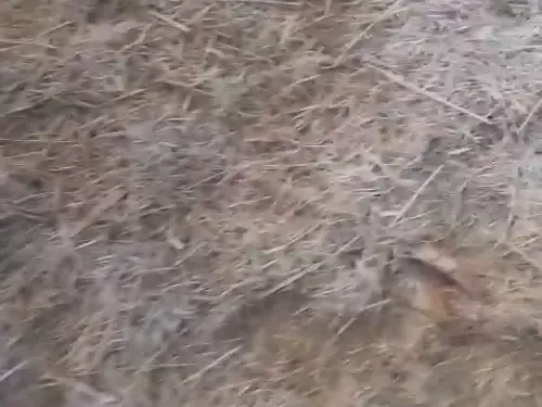 Chhattisgarh Weather