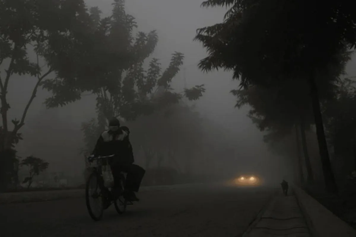 gDCyWc5GlDIDolcZt7cs