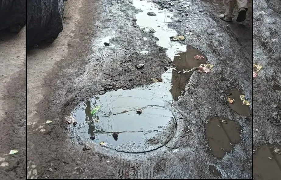 WhatsApp Image 2026-01-06 at 17.10.18