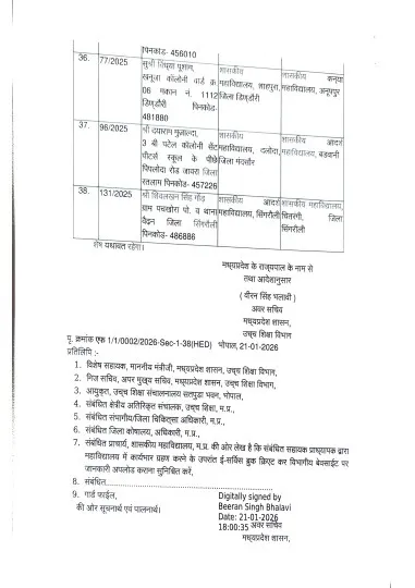 assistant-professors