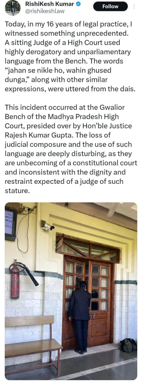 judge allegations advocate