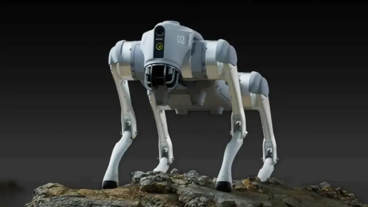 chinese-robotic-dog