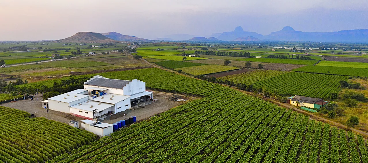 Asav Vineyards, Hyderabad