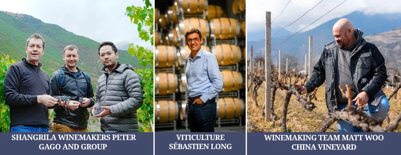 july special wine talk