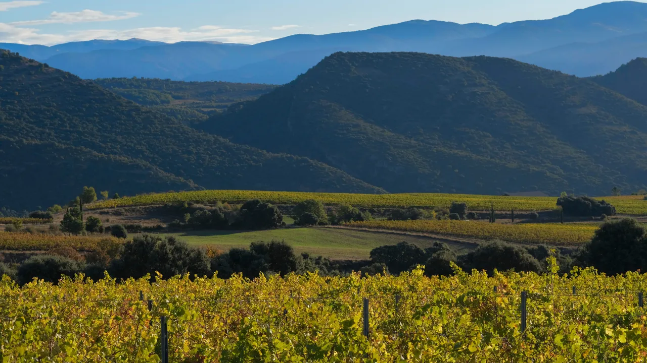 Familia Torres is reinforcing its environmental commitment by scaling up sustainable forest management