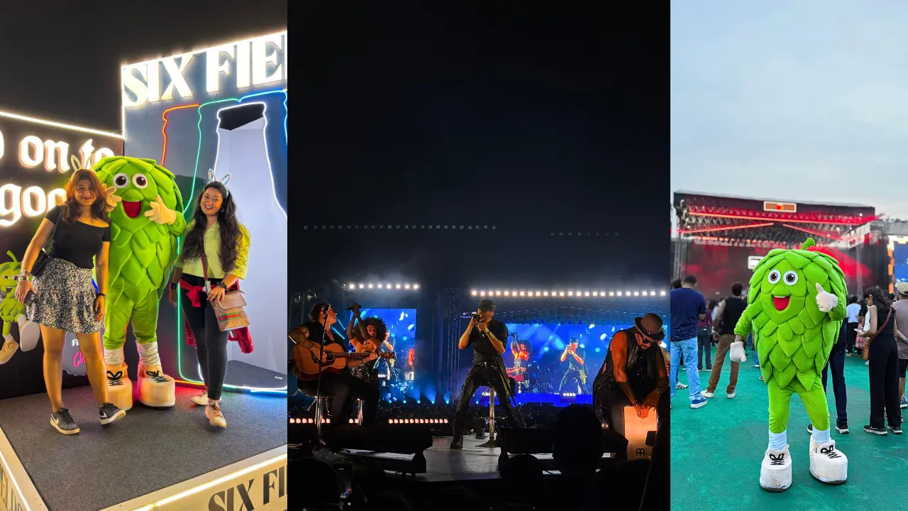 Six Fields at Enrique Iglesias concert