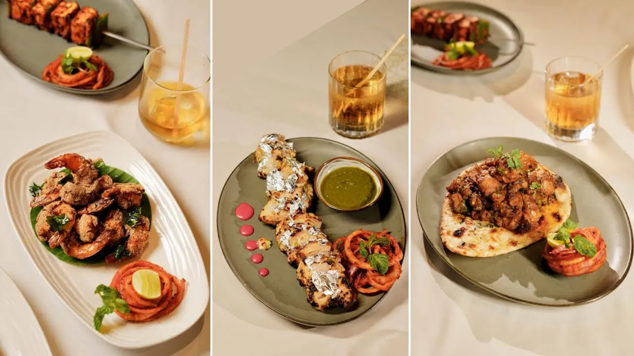 A Feast of Shahi Kebab