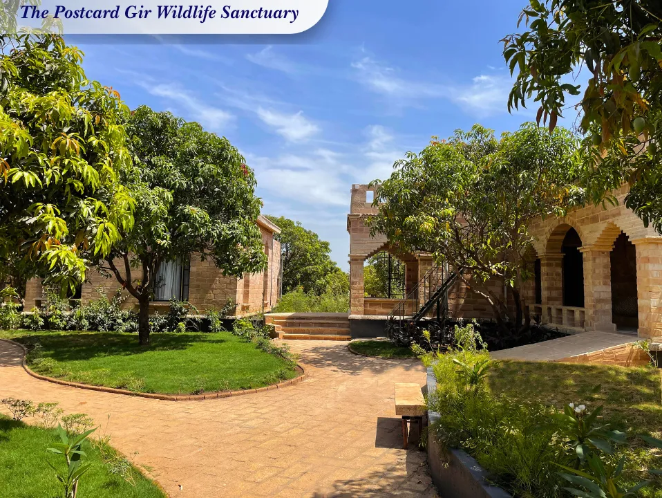 The Postcard Gir Wildlife Sanctuary
