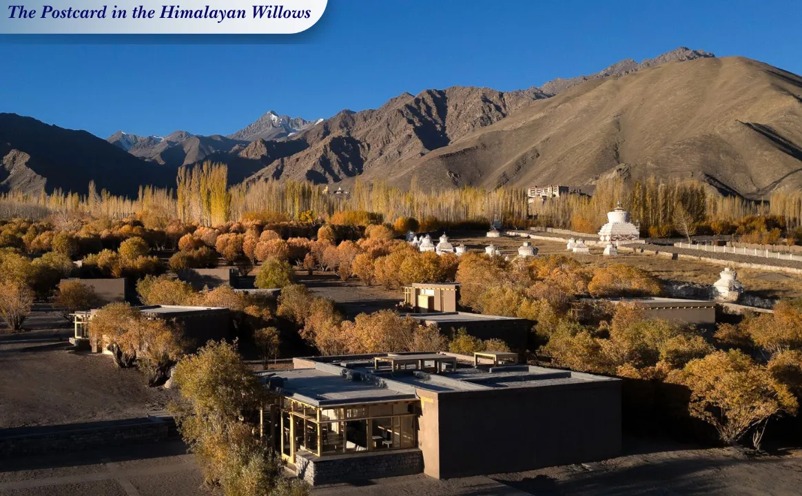 The Postcard in the Himalayan Willows