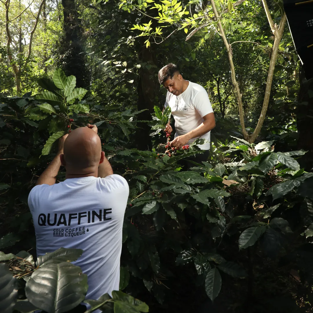 Indie Brews and Spirits