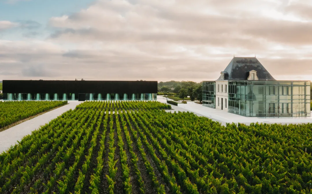 Ch&acirc;teau P&eacute;desclaux and Ch&acirc;teau Lafon-Rochet