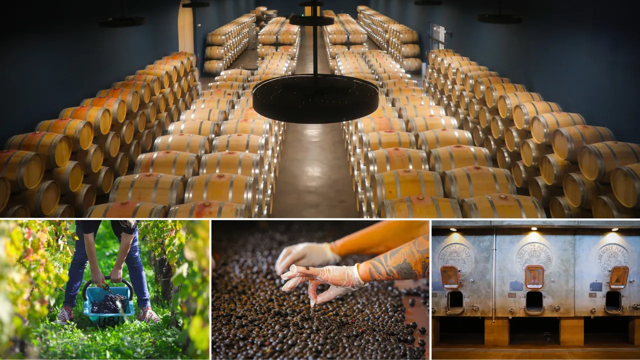 Ch&acirc;teau Marquis