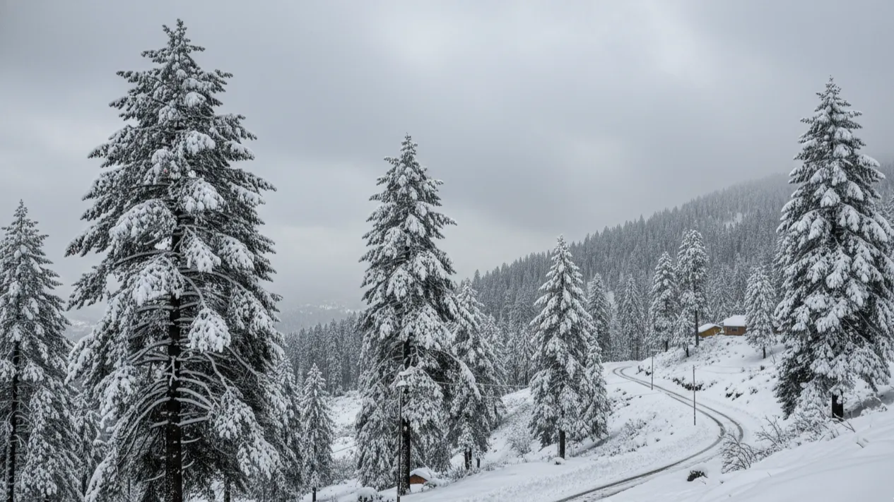 55c5f8fb-e931-4424-8472-df40c51c7ffb