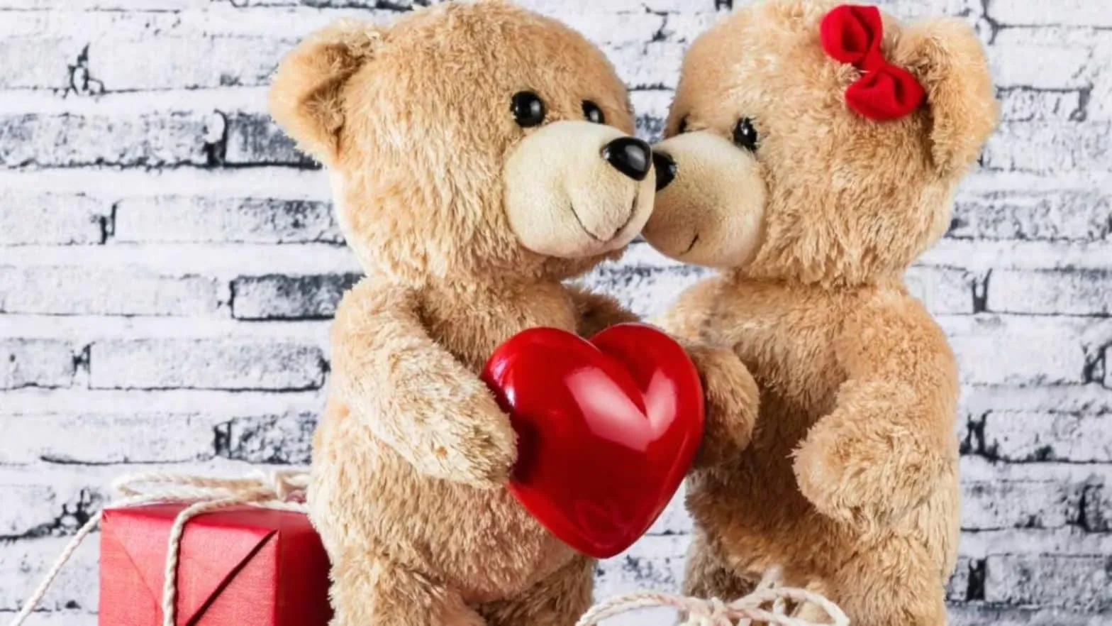 teddy-day-2026-02-2b66b7794b75bc5c11c6075c5dc44d21-post-thumbnail
